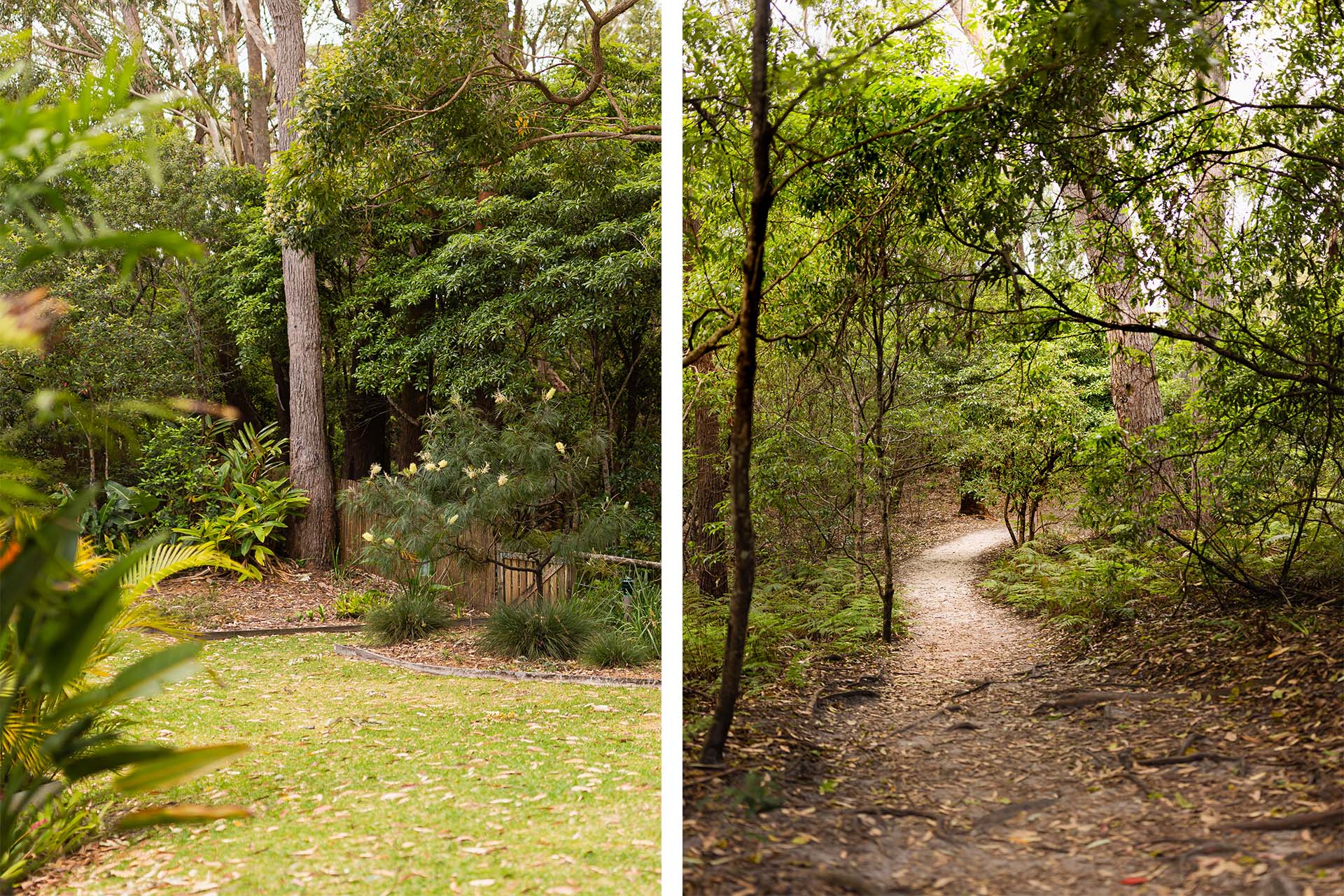 Bush track to the beach