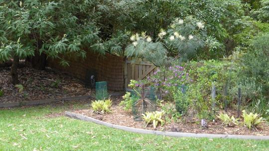 Gate from lawn area leading to bush track to the beach